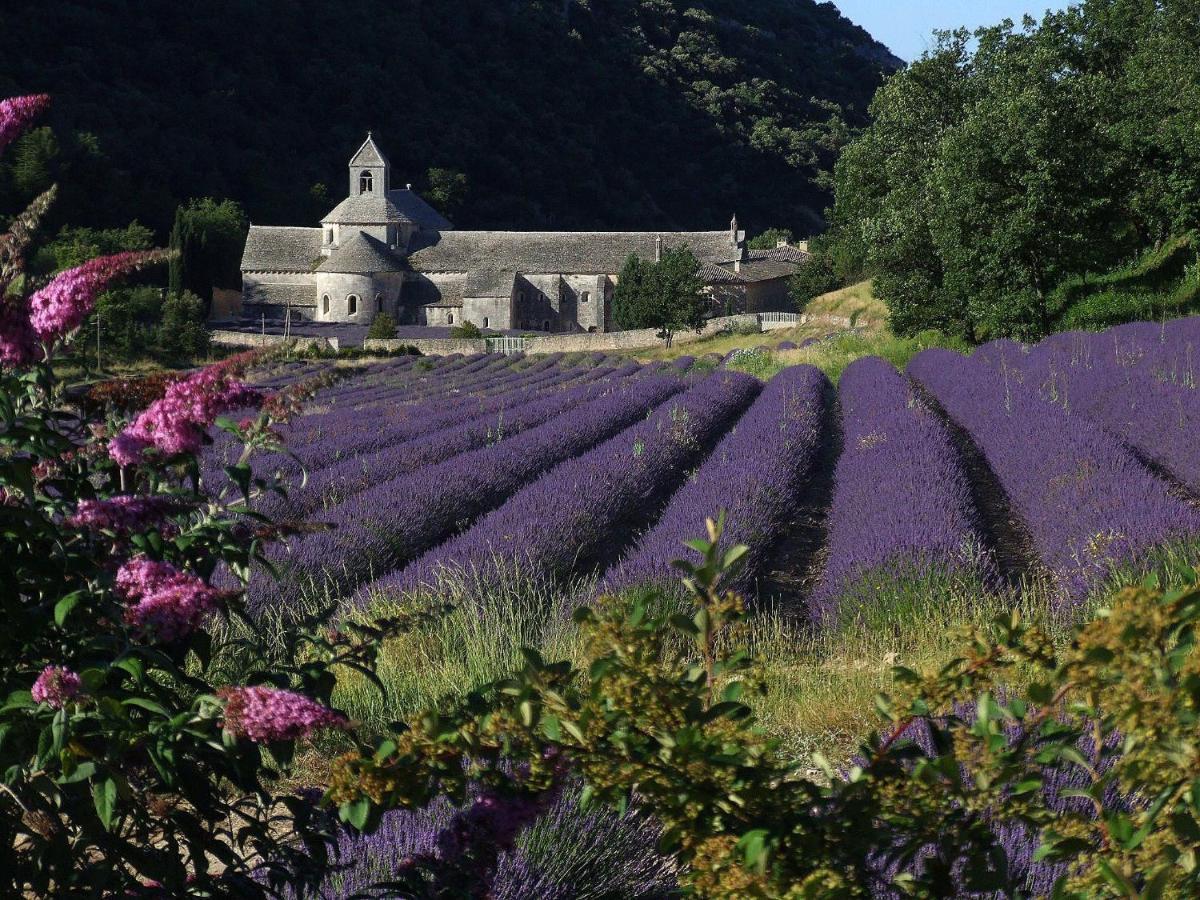 Bed and Breakfast Les Cerises Saint-Saturnin-lès-Apt Exterior foto